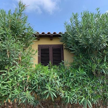 Villa Maveda, Un Dammuso Immerso Nel Verde Lampedusa Esterno foto