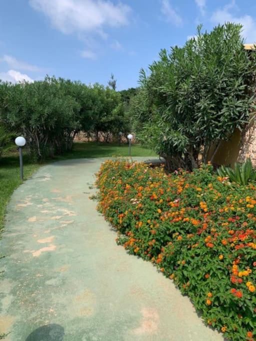 Villa Maveda, Un Dammuso Immerso Nel Verde Lampedusa Esterno foto