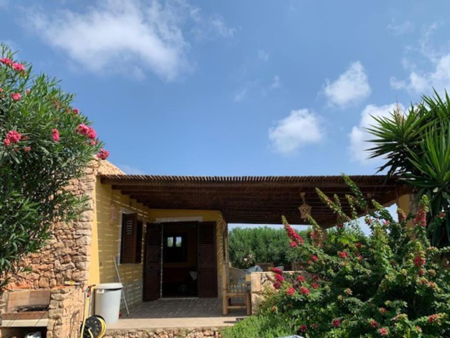 Villa Maveda, Un Dammuso Immerso Nel Verde Lampedusa Esterno foto
